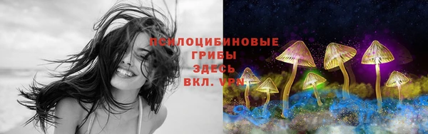 метадон Алексин