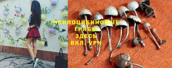 метадон Козельск
