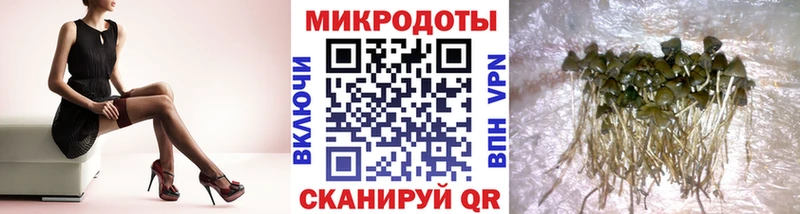 Псилоцибиновые грибы Psilocybe  Жуков 